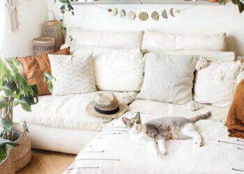 Decoholic