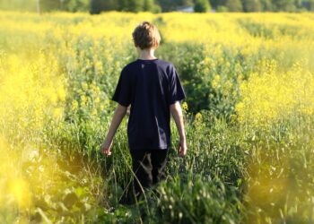 Unsplash | Rachael Crowe