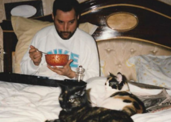 My Freddie Mercury