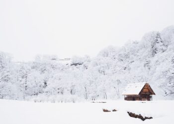 Unsplash | Unsplash