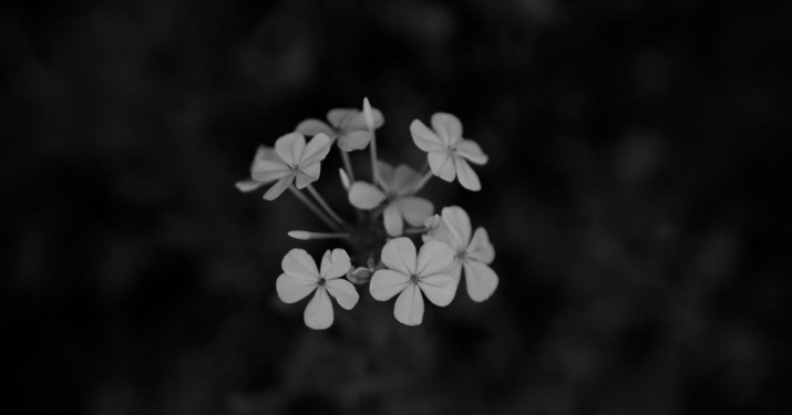 Unsplash