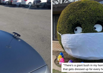 Reddit