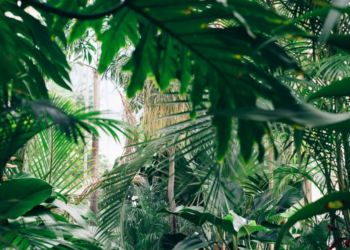 Unsplash