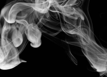 Unsplash | Pascal Meier