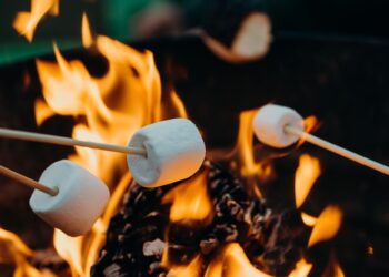 Unsplash | Leon Contreras