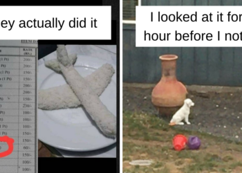 Reddit