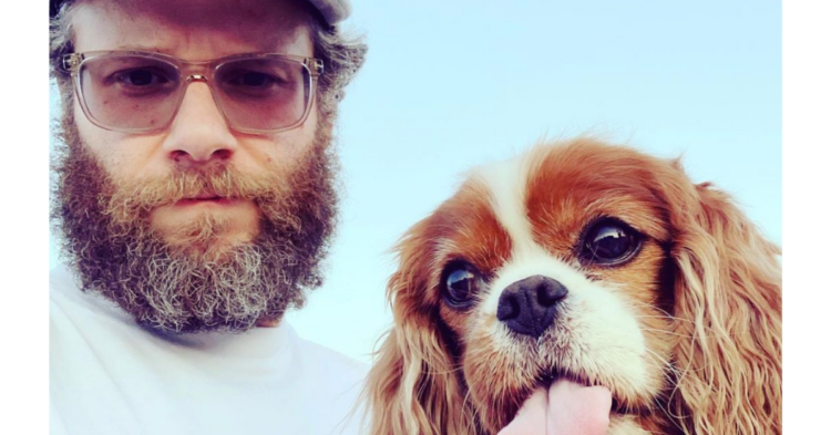 Instagram | sethrogen