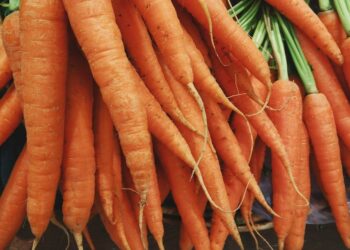 Unsplash | Unsplash