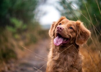 Unsplash | Unsplash