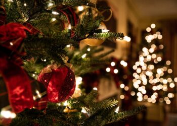 Unsplash | Unsplash