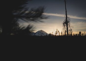 Unsplash | Unsplash