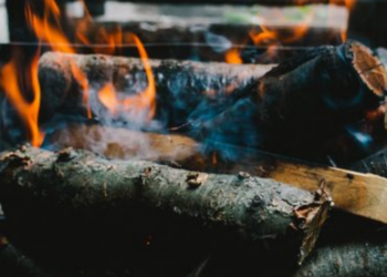 John-Mark Smith l Unsplash