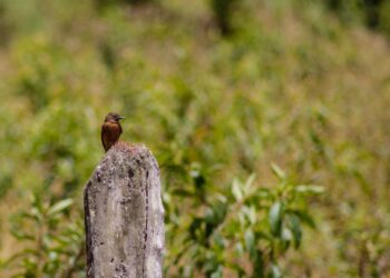 Unsplash | Unsplash