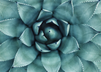 Unsplash | Erol Ahmed