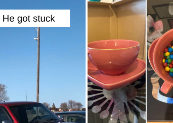 Reddit