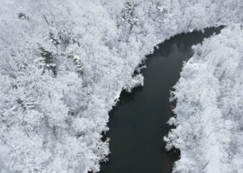 Unsplash | Unsplash
