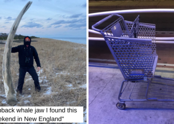 Reddit