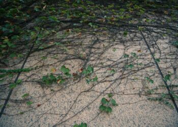 Unsplash | Unsplash