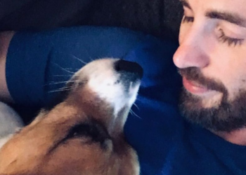 Instagram | @chrisevans