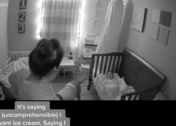 TikTok | @franchelle0