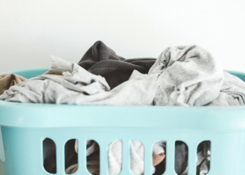 Unsplash | Annie Spratt