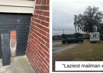 Reddit