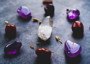 Unsplash | Dan Farrell