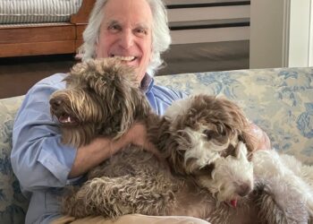 twitter | @hwinkler4real