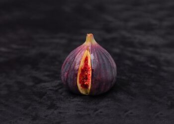 Unsplash | Unsplash