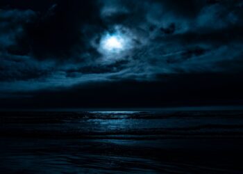Unsplash | Kyle Johnson