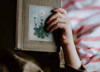 Unsplash | Annie Spratt