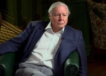 YouTube | BBC Newsnight