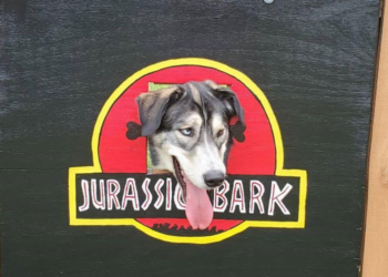 Instagram | @thedogfence