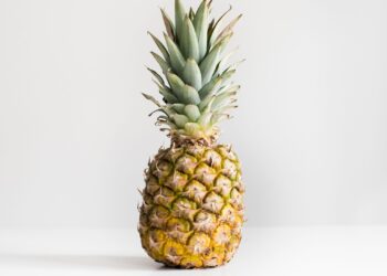 Unsplash | Julien Pianetti