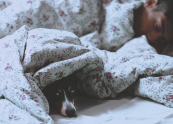Unsplash | Claudia Mañas