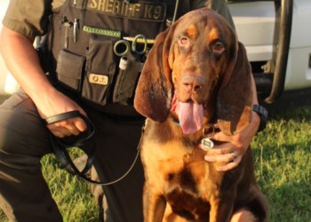 Facebook | Rutherford County Sheriff's Office