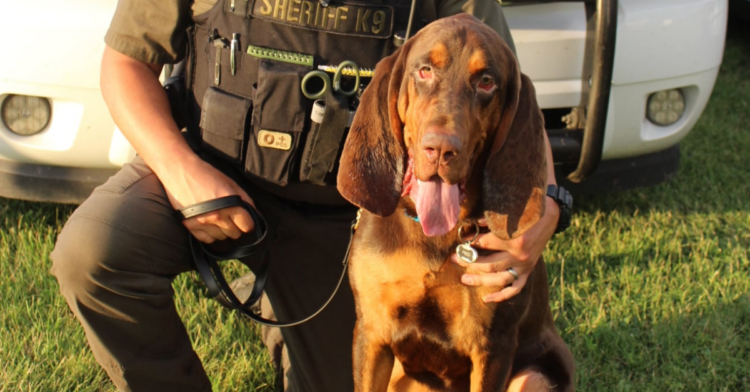 Facebook | Rutherford County Sheriff's Office