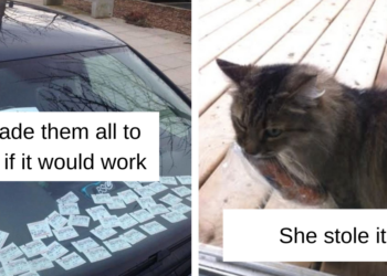 Reddit
