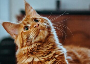 Unsplash | Amber Kipp