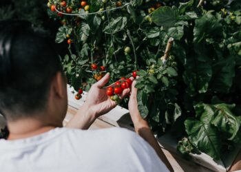 Unsplash | Unsplash