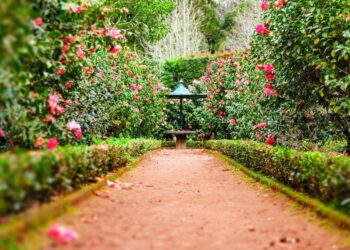 Unsplash | Unsplash
