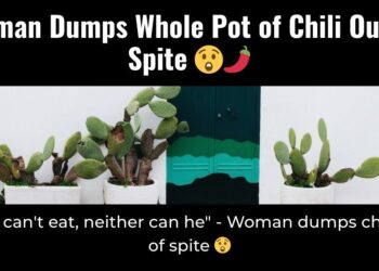 Diply | Diply