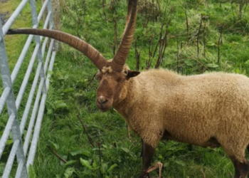 Reddit | Wilagorn