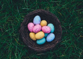 Unsplash | Annie Spratt