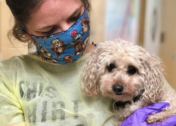 Facebook | Monmouth County SPCA