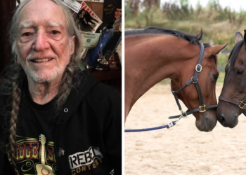 Facebook | Willie Nelson