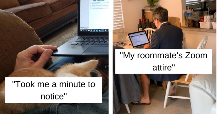 Reddit