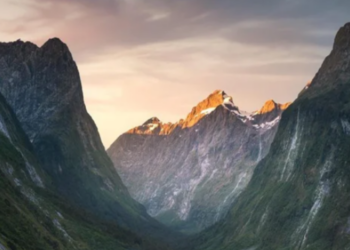 Reddit | william_patino