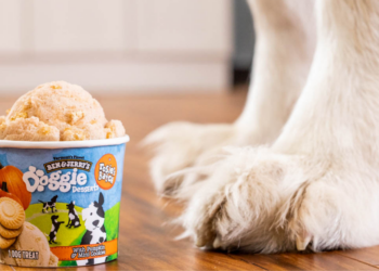 Ben & Jerry's
