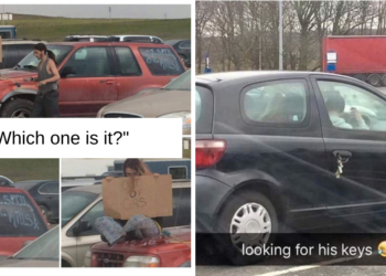Reddit